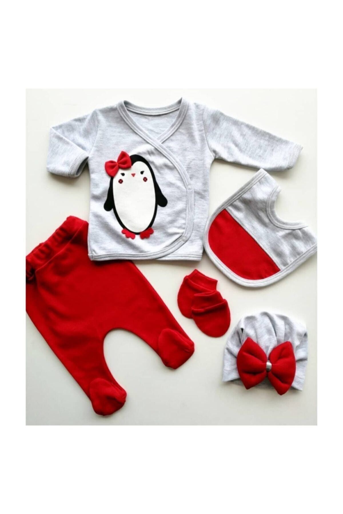 Kız Bebek 5 Parça Hastane Çıkışı Seti 1005651 0-3 Ay